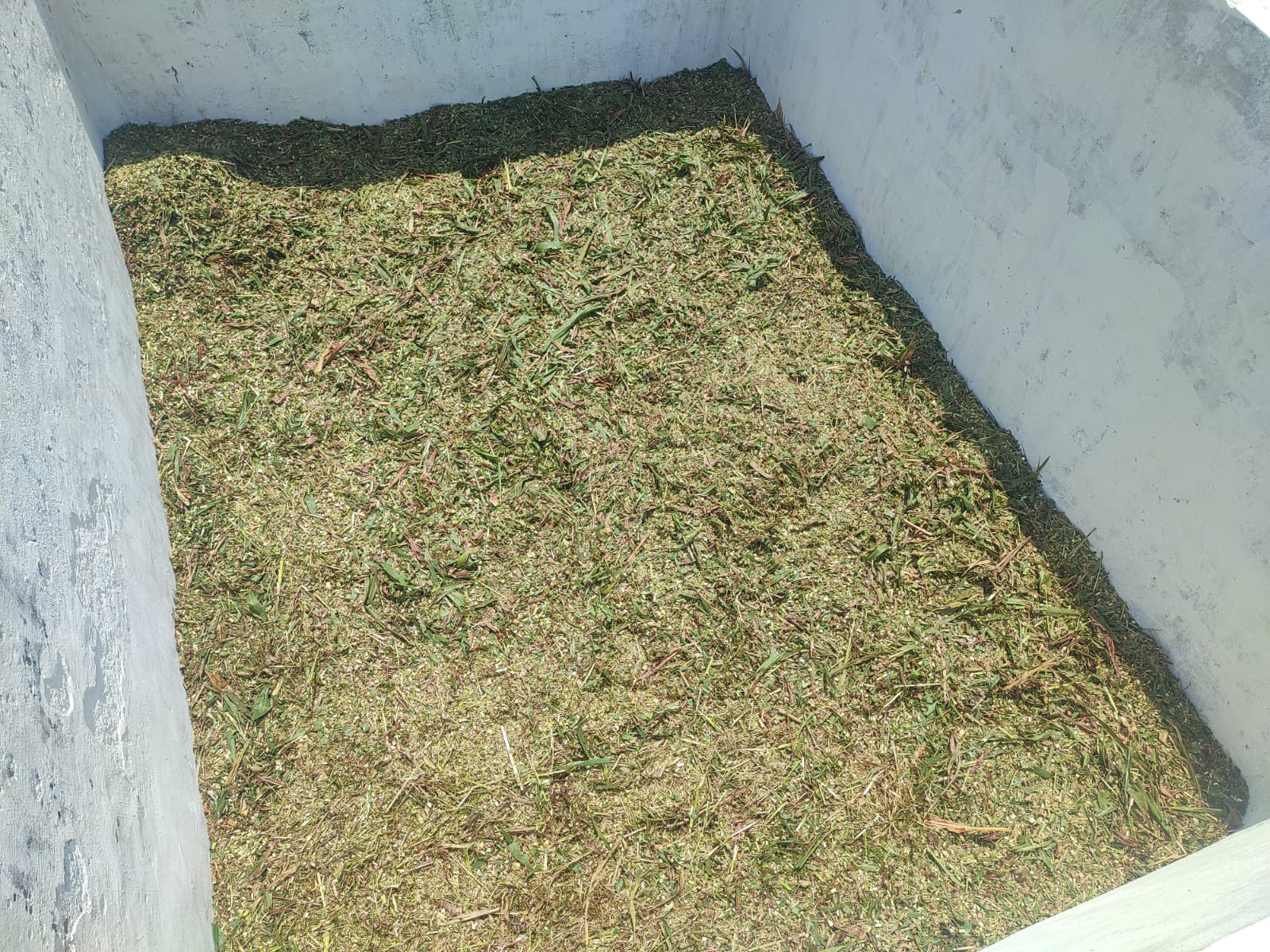SILAGE